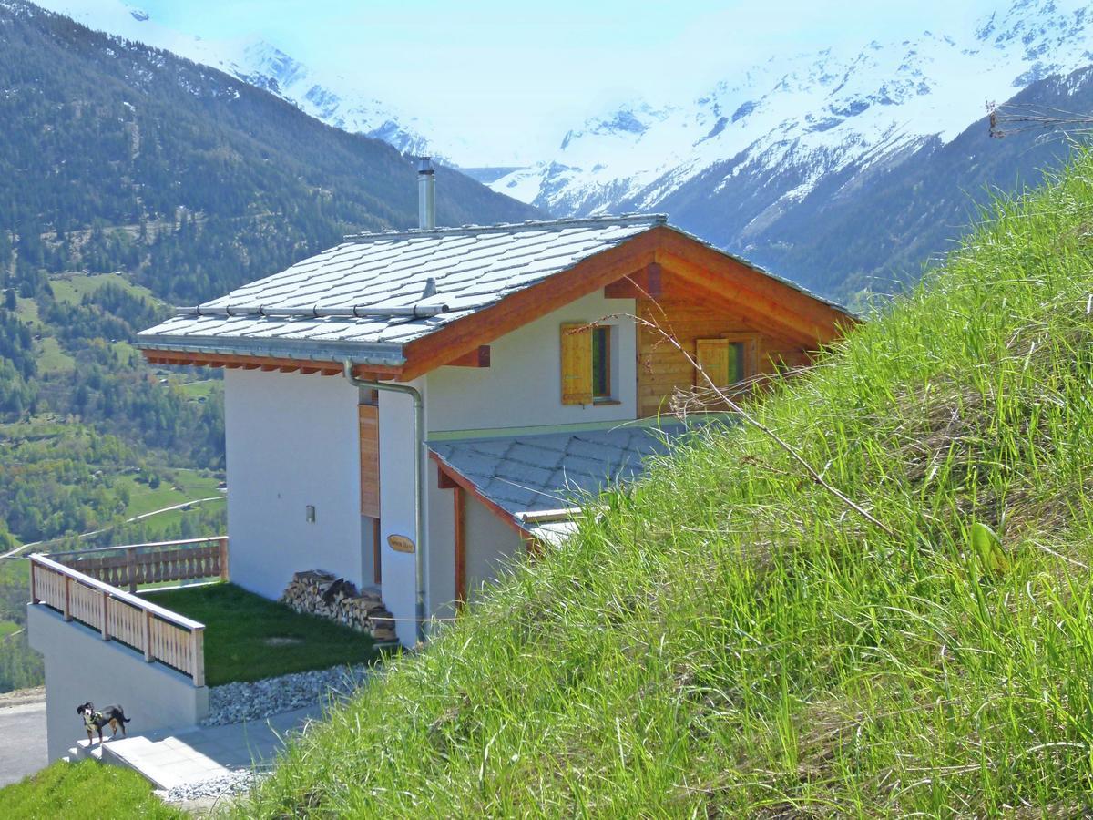 Mountain-View Chalet In Heremence With Terrace المظهر الخارجي الصورة